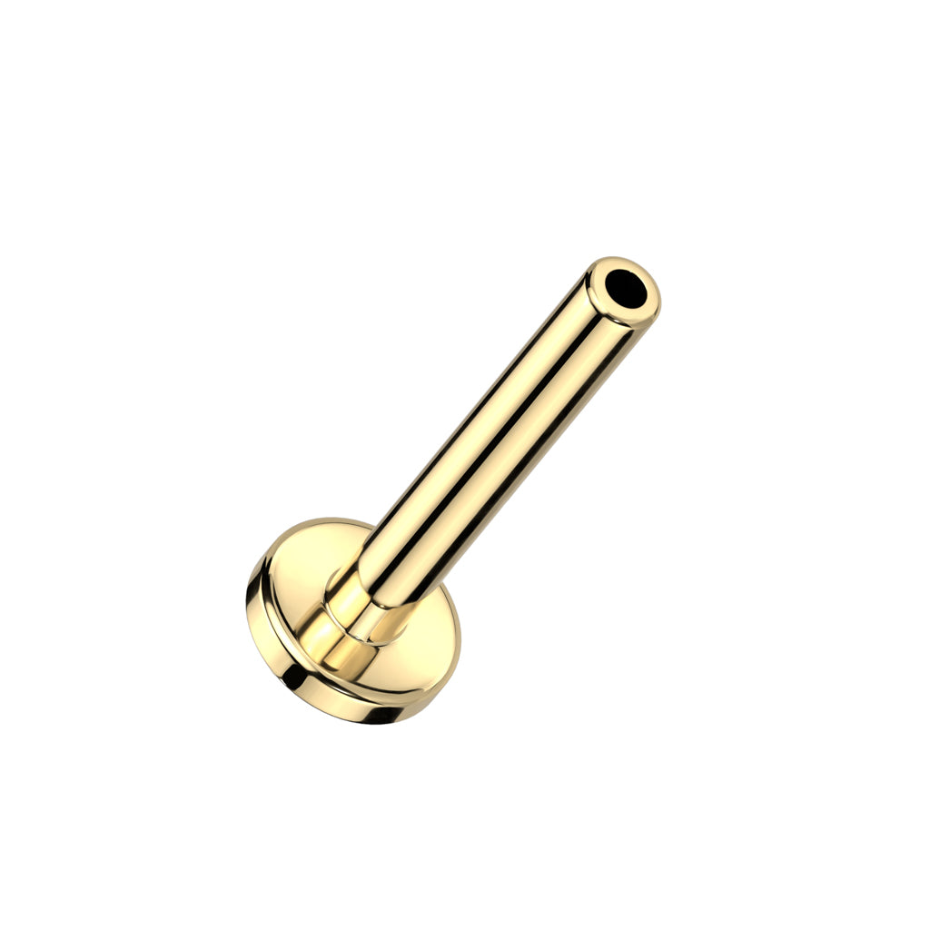 16g Titanium Threadless Labret Gold 6mm / Titanium / Gold Labret