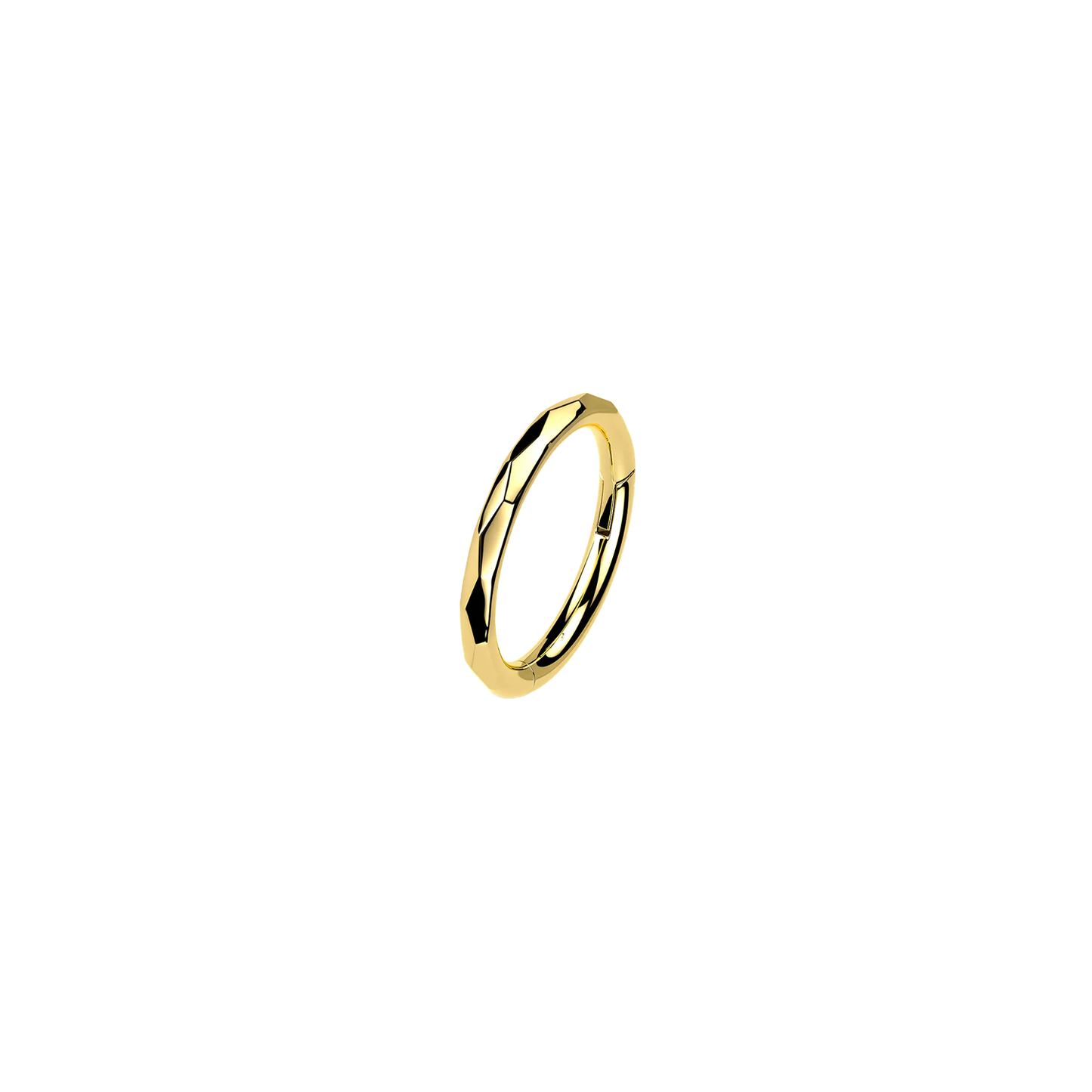 Titanium Faceted Hinged Ring Gold 10mm / Titanium / Gold Hinged Ring