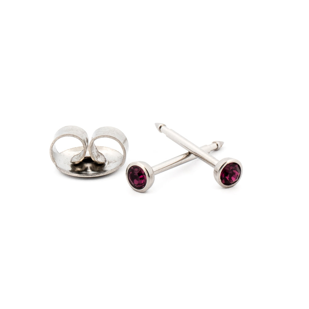 February (Amethyst) Silver Earrings