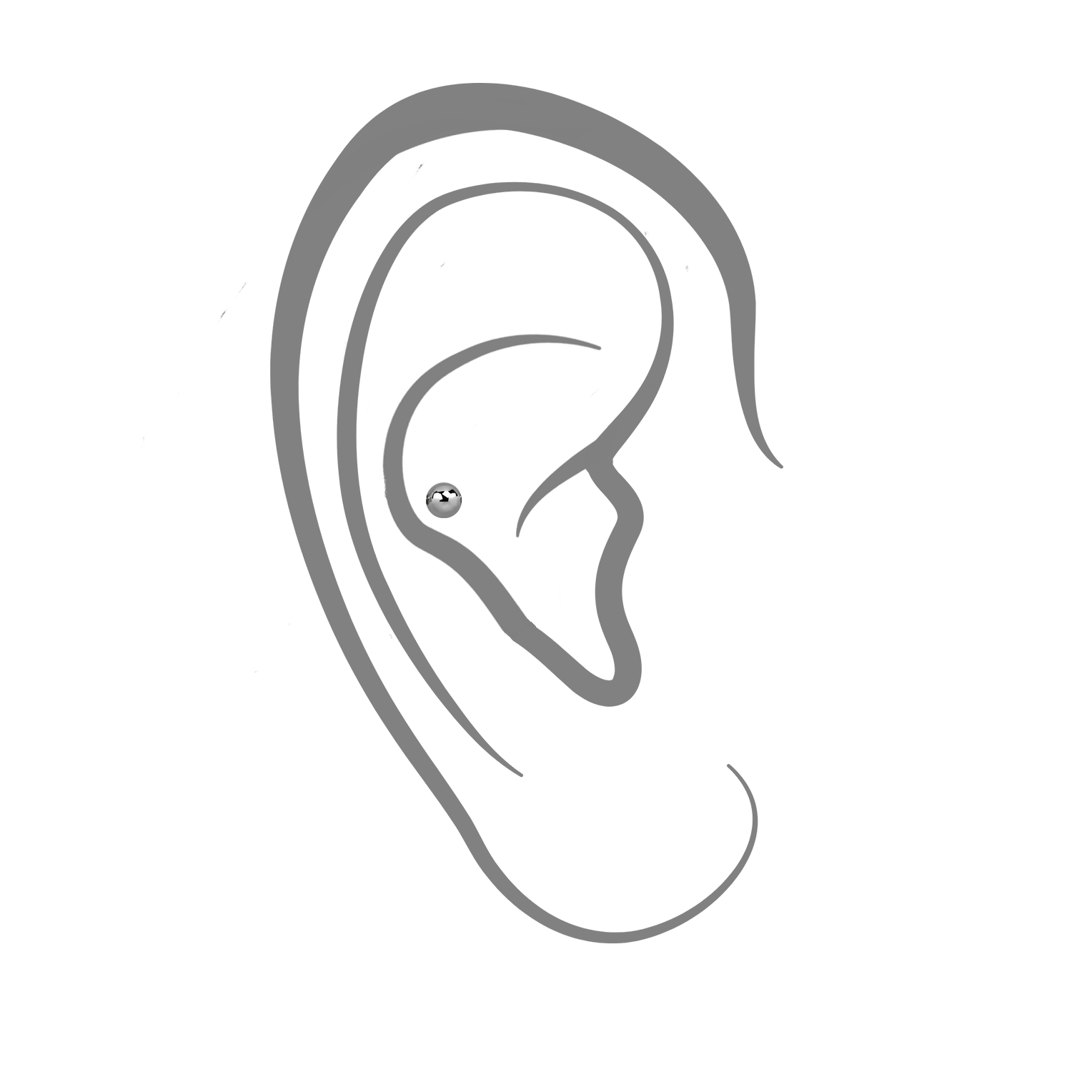 Jewelry & Body Piercing Shop┃Piercing Auckland┃Piercing Near Me Keen