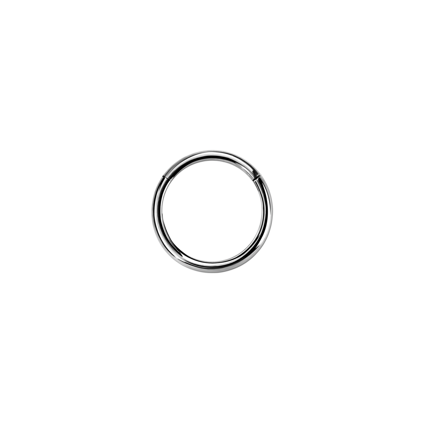 20g Silver Surgical Steel Hinged Ring