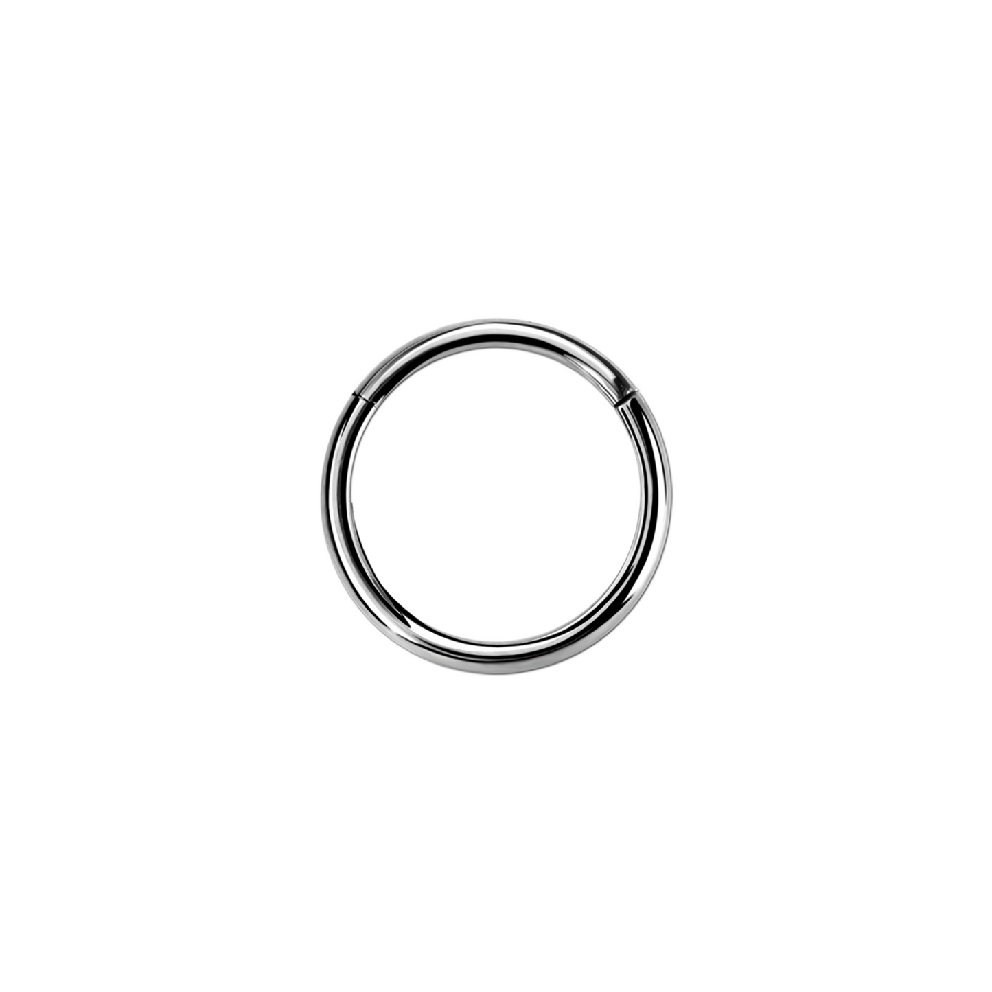 20g Silver Surgical Steel Hinged Ring – Keen on Piercing