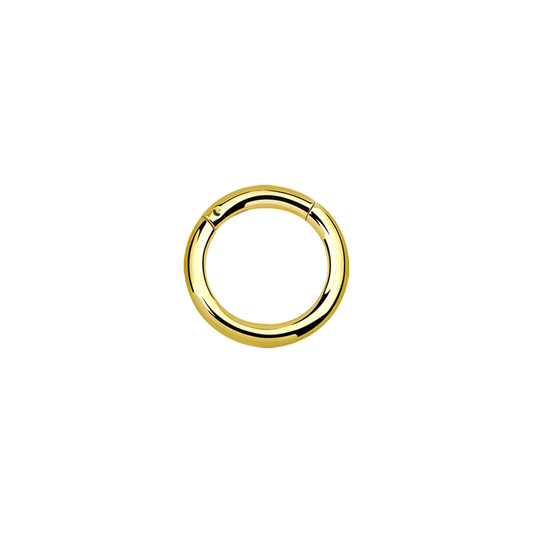 14g Gold PVD Plated Surgical Steel Hinged Ring