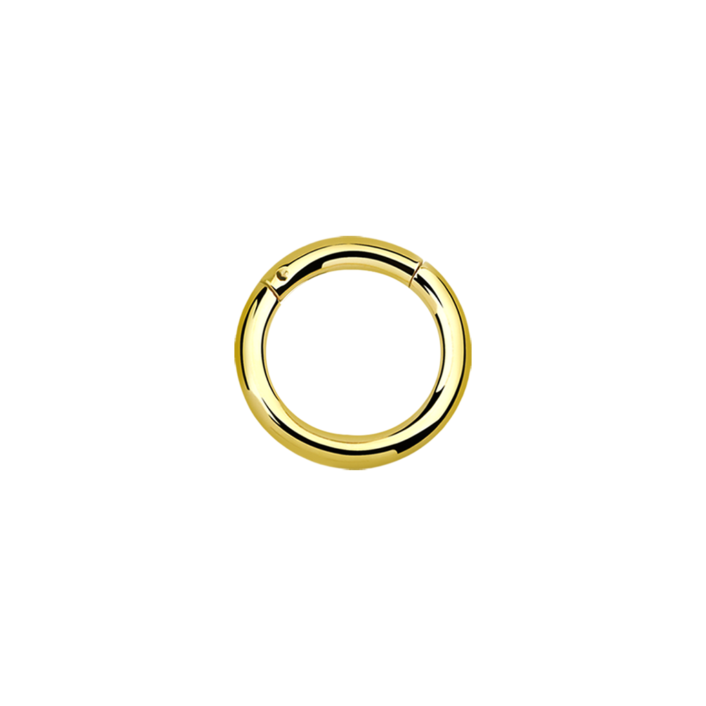 14g Gold PVD Plated Surgical Steel Hinged Ring