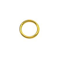 16g Gold PVD Plated Surgical Steel Hinged Ring
