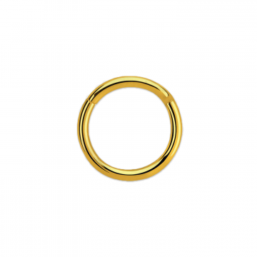 16g Gold PVD Plated Surgical Steel Hinged Ring