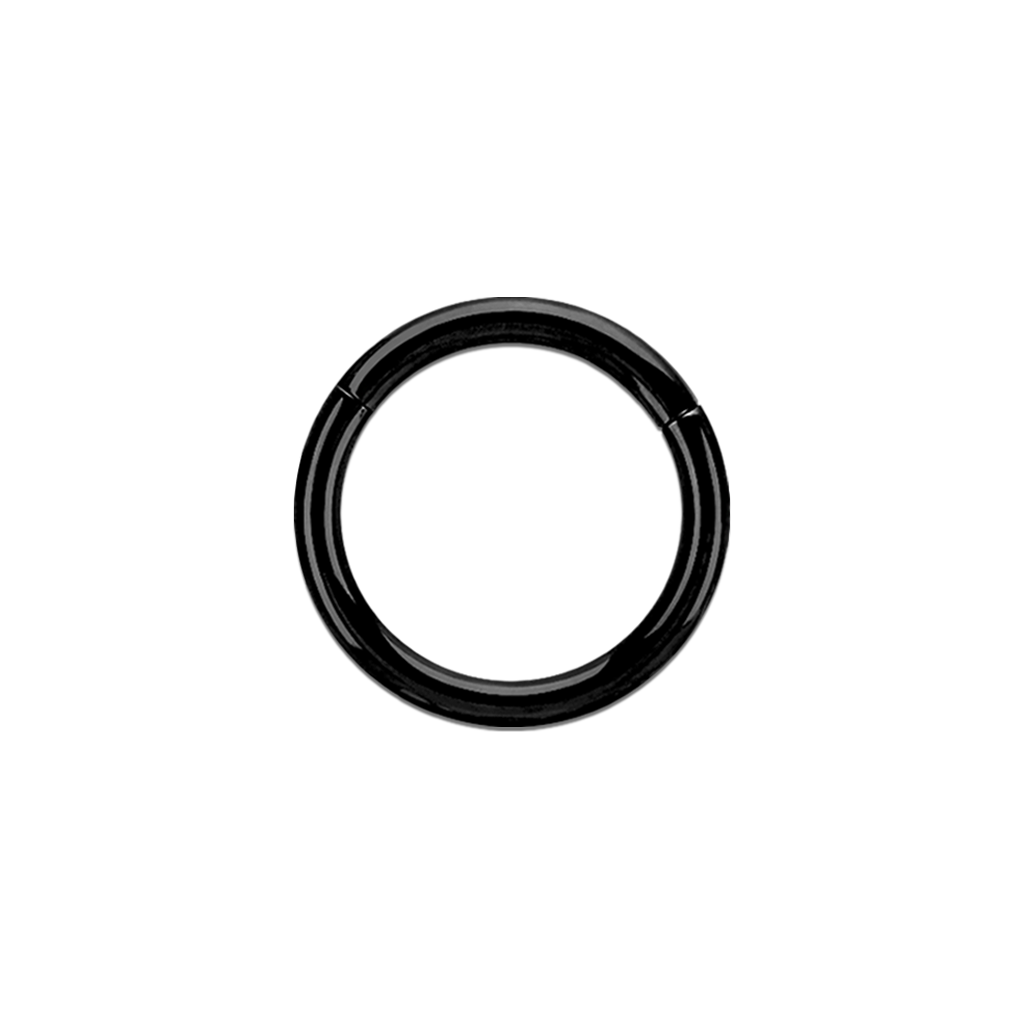 16g Black PVD Plated Surgical Steel Hinged Ring