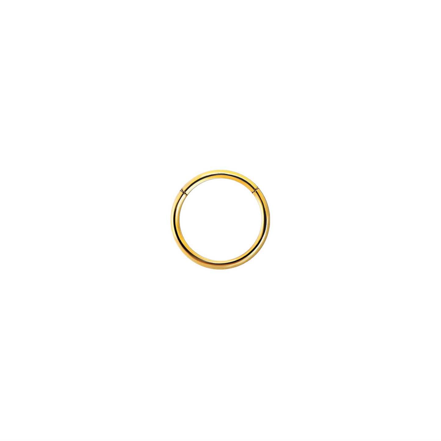 20g Gold PVD Plated Surgical Steel Hinged Ring