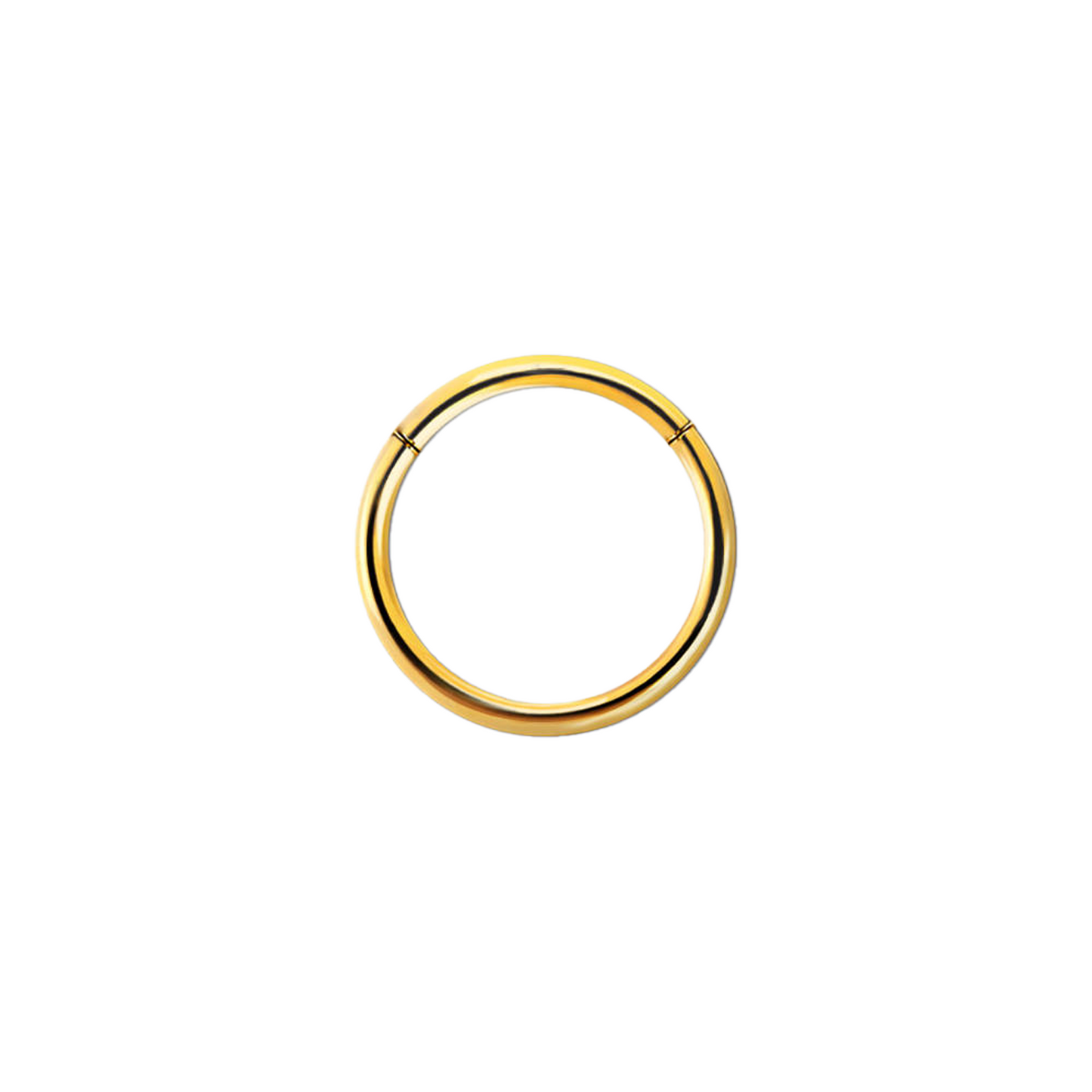 20g Gold PVD Plated Surgical Steel Hinged Ring