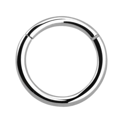 20g Silver Titanium Hinged Ring
